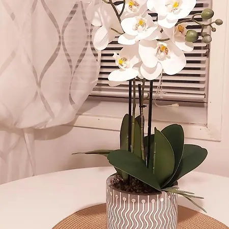 Apartament Pikku Neristan *