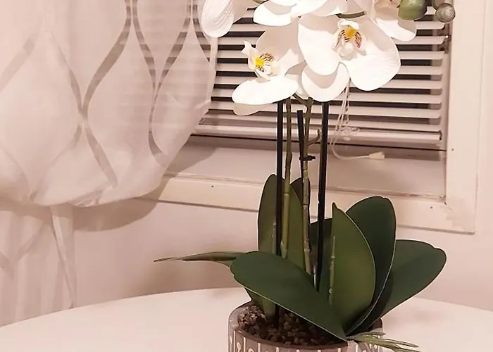 Daire Pikku Neristan *